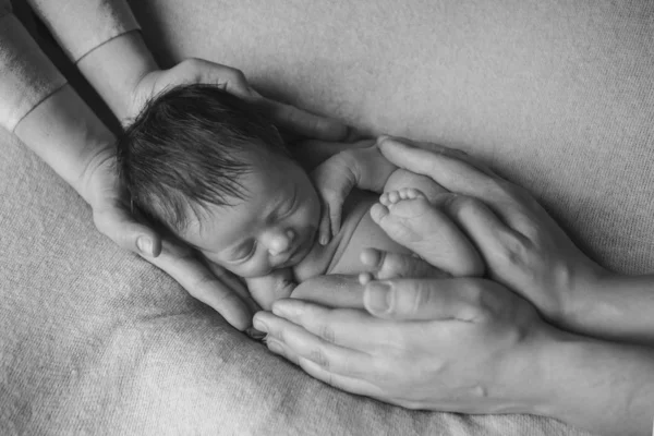 Bebé recién nacido acostado en las manos de los padres. Imitación del bebé en el útero. hermosa niña durmiendo boca arriba. manifestación de amor. Concepto de cuidado de la salud, paternidad, Día del Niño, medicina, FIV —  Fotos de Stock