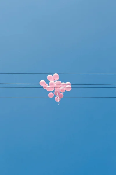 pink helium balloons are flying in the blue sky. black electric wires as a musical Tang, lines for writing. The concept of A happy summer birthday and wedding, honeymoon. copy space