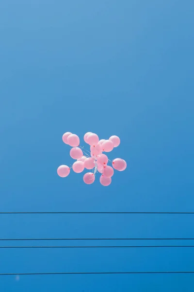 pink helium balloons are flying in the blue sky. black electric wires as a musical Tang, lines for writing. The concept of A happy summer birthday and wedding, honeymoon. copy space