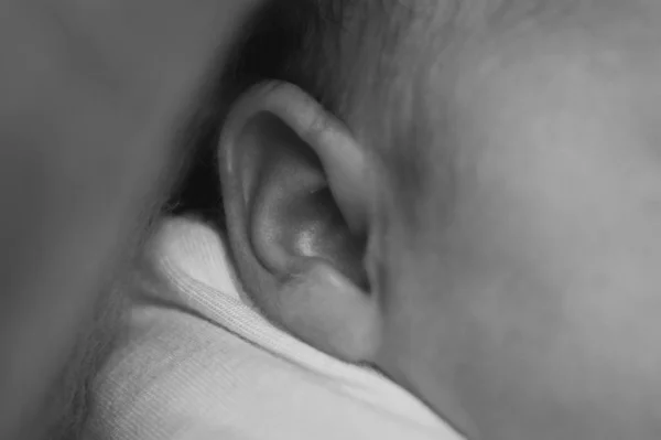 Newborn Baby Ear Close Upconcept Childhood Health Care Ivf Hygiene — Stock Photo, Image