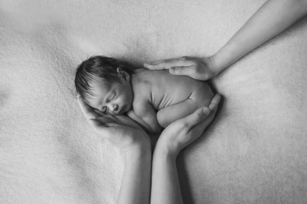 Novorozené Dítě Leží Rukou Rodičů Imitace Dítěte Děloze Krásná Holčička — Stock fotografie