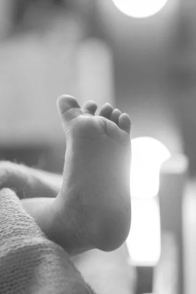 Pasgeboren Baby Voeten Benen Massage Concept Van Kindertijd Gezondheidszorg Ivf — Stockfoto