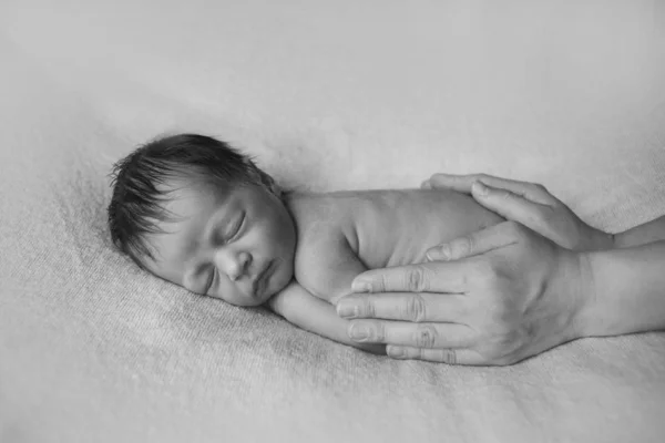 Bebê Recém Nascido Deitado Nas Mãos Dos Pais Imitação Bebé — Fotografia de Stock