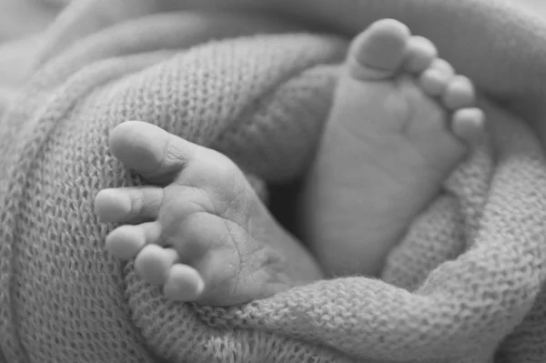 Pasgeboren Baby Voeten Benen Massage Concept Van Kindertijd Gezondheidszorg Ivf — Stockfoto