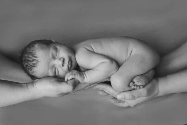 Nouveau Couché Sur Les Mains Des Parents Imitation Bébé Dans — Photo