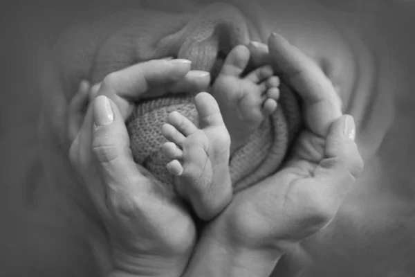 Pés Bebê Recém Nascido Mãe Segurando Pernas Bebê Recém Nascido — Fotografia de Stock