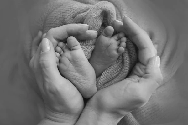 Newborn Baby Feet Mother Holding Newborn Baby Legs Legs Massage — Stock Photo, Image