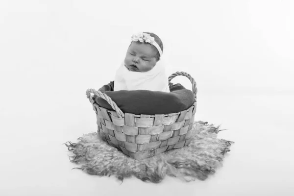 Newborn Baby Wrapped Blanket Sleeping Basket Concept Childhood Healthcare Ivf — Stock Photo, Image