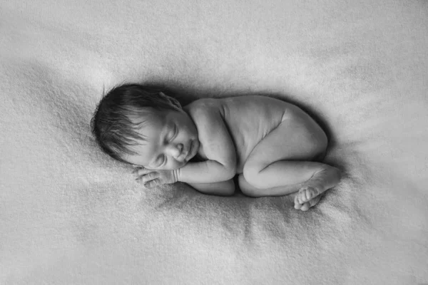 Bebé Recién Nacido Desnudo Mintiendo Imitación Del Bebé Útero Hermosa — Foto de Stock
