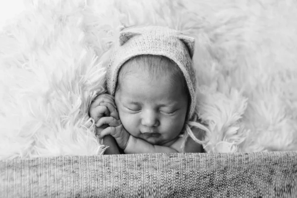 Новорожденный Ребенок Вязаной Шляпе Ушами Имитация Младенца Утробе Матери Портрет — стоковое фото