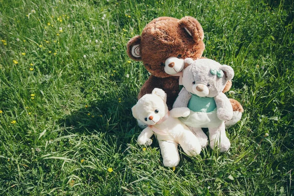 A family of teddy bears is sitting in the grass. Three toys are sunbathing. The concept of summer, warmth, gifts, soft products, childhood