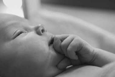 Küçük bir çocuk, bir battaniyenin altındaki ahşap bir yatakta yatıyor. Bebek emme parmağı. Çocukluk, sağlık ve çocuk mobilyaları, iç mekan, ahşap ürünler konsepti