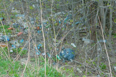 Ormanda bir çöp yığını. Çöp yığını. Çevre kirliliği. Plastik geri dönüşümünün çevresel felaketi