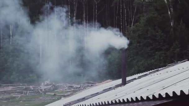 Λευκός Καπνός Φυσάει Από Την Καμινάδα Καυσόξυλα Για Σάουνα — Αρχείο Βίντεο