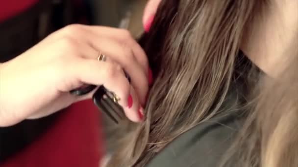Uma Rapariga Corta Cabelo Numa Barbearia Mestre Faz Corte Cabelo — Vídeo de Stock