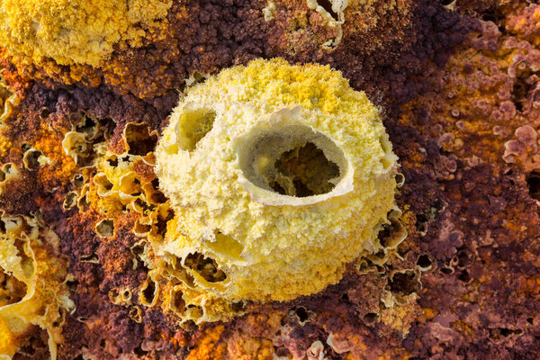 Inside the explosion crater of Dallol volcano, Danakil Depression, Ethiopia