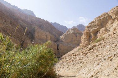 Wadi Arugot nehir, ein Gedi doğa rezerv, dead sea, İsrail