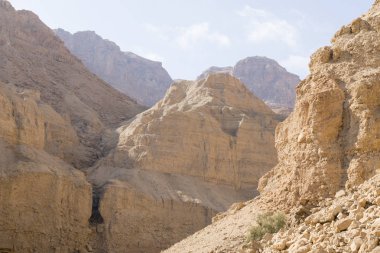 Wadi Arugot nehir, ein Gedi doğa rezerv, dead sea, İsrail