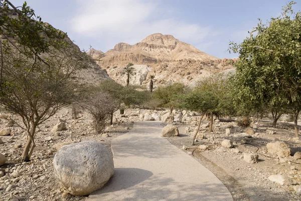 Wadi David, dead sea, İsrail
