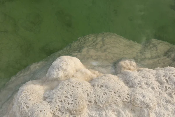 Сіль вузлики (гриби) на березі Мертвого моря - Ізраїль — стокове фото