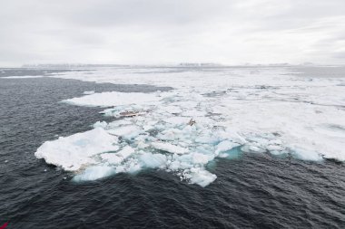 Svalbard, Spitsbergen kutup deniz içinde yüzen buzdağı