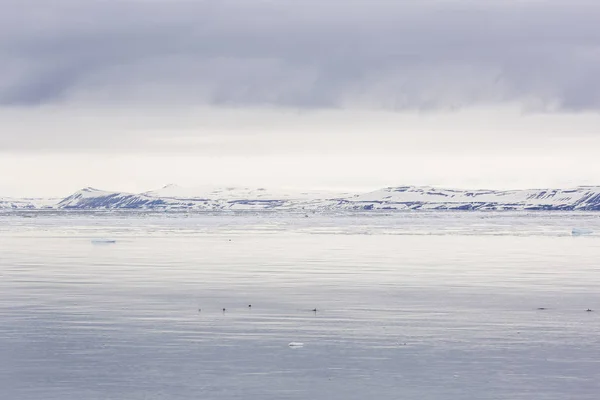 Bahía de mar con glaciares y témpanos en Svalbard, Spitsbergen, Noruega —  Fotos de Stock