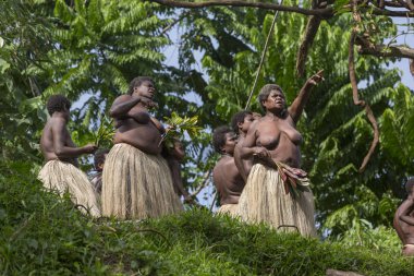 Geleneksel arazi dalış ayini (Nangol) üzüm ayaklarına modern Bungee Jumping, editoryal kökeni bağlı