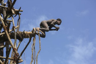 Geleneksel arazi dalış ayini (Nangol) üzüm ayaklarına modern Bungee Jumping, editoryal kökeni bağlı