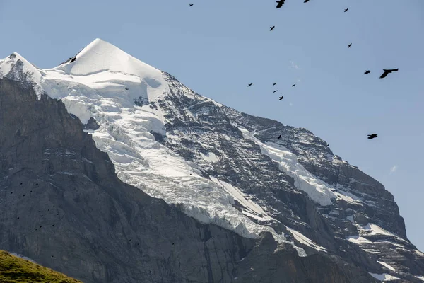 Toppen av Mount ”Jungfrau” med mountain Kajan, Grindelwald, Bernese Oberland, Schweiz — Stockfoto