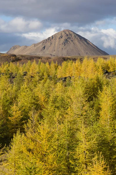 Τοπίο της Myvatn στην Ισλανδία το φθινόπωρο — Φωτογραφία Αρχείου