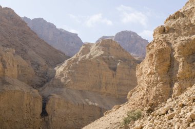Wadi Arugot nehir, ein Gedi doğa rezerv, dead sea, İsrail