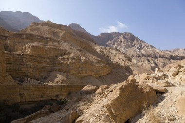 Wadi Arugot nehir, ein Gedi doğa rezerv, dead sea, İsrail