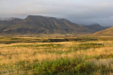 İzlanda'altın renkleri ile sonbahar sırasında manzara