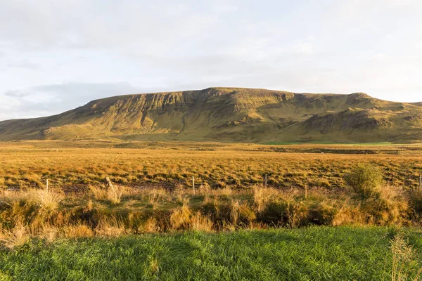 Landscape in iceland during the autumn with golden colors — Stock Photo, Image