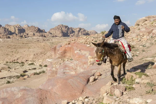 Petra, jordan 24. dezember 2015: beduinenmann reitet eine hors — Stockfoto