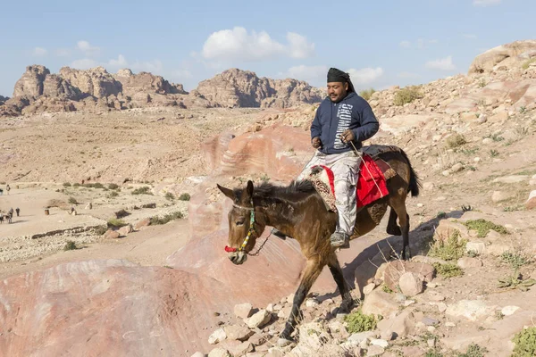 Petra, jordan 24. dezember 2015: beduinenmann reitet eine hors — Stockfoto