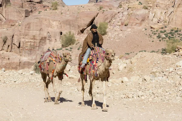 Petra, Jordánsko - Prosinec 25th, 2015: Beduínský muž na koni přišlo — Stock fotografie