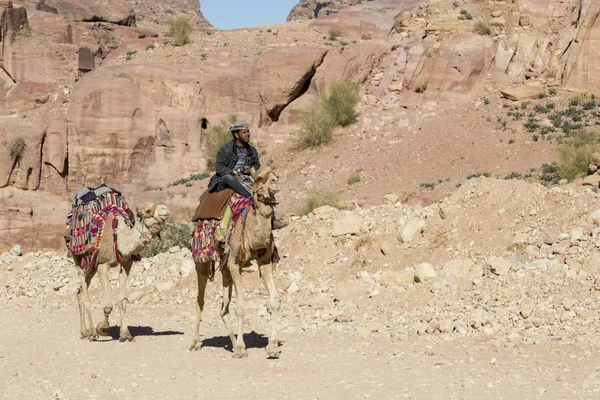 Petra, Jordania - 25 de diciembre de 2015: Llegó el hombre beduino montando un —  Fotos de Stock