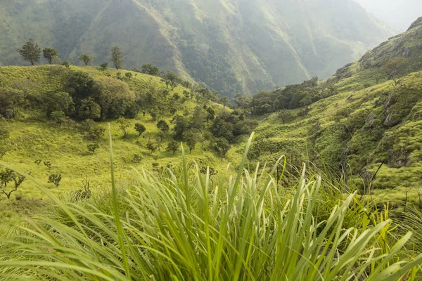 Vista en el Pico del Pequeño Adán y la Roca Ella, Ella, Sri Lanka —  Fotos de Stock