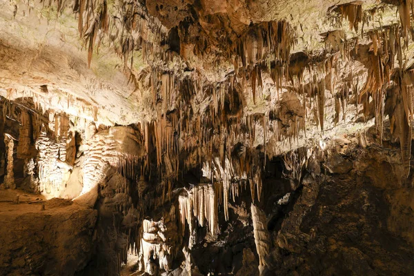 Σπήλαιο Postojna, Σλοβενία. Σχηματισμούς μέσα σε σπηλιά με σταλακτίτες — Φωτογραφία Αρχείου