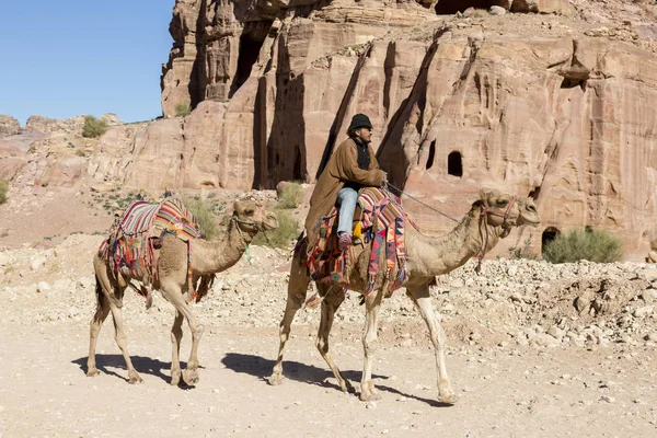 Petra, Jordania 25 de diciembre de 2015: Hombre beduino cabalgando un camello en la antigua ciudad nabatea de Petra, Jordania — Foto de Stock