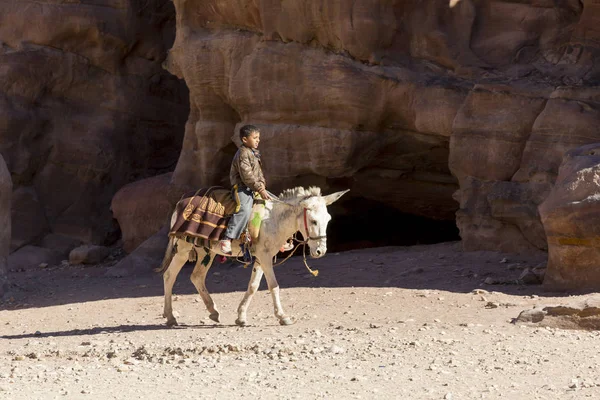 Petra - Jordánsko 25 prosinec 2015: arabský chlapec na koni Osla do jordánské Petry — Stock fotografie