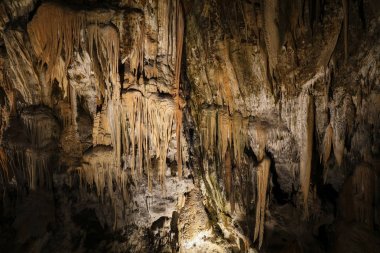 Postojna Cave (Slovenian: Postojnska jama)