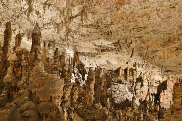 Postojna, Slovenya mağara. Oluşumlar mağaranın sarkıt ile içinde — Stok fotoğraf