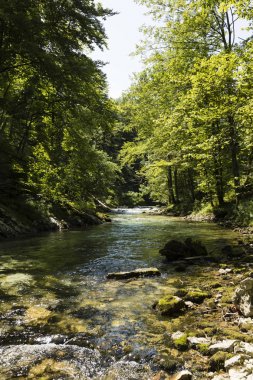 Bled, Triglav Nationalpark yakınındaki ahşap pats ile ünlü Vintgar gorge Kanyon
