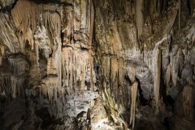 Dünyaca ünlü mağara Postojna, Slovenya sarkıt ve dikitler ile