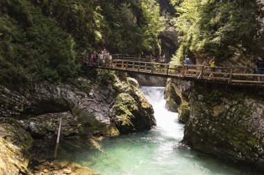 Bled, Slovenya 10 Temmuz 2017: Ünlü Vintgar gorge Kanyon ile ahşap pats yakınındaki Triglav Nationalpark, Slovenya