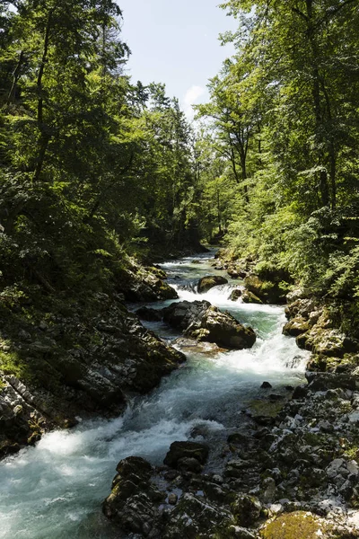 Die berühmte Winzerschlucht mit hölzernen Schlägen in der Nähe des Triglav-Nationalparks — Stockfoto