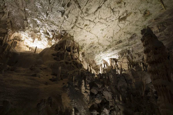 Dünyaca ünlü mağara Postojna, Slovenya sarkıt ve dikitler ile — Stok fotoğraf