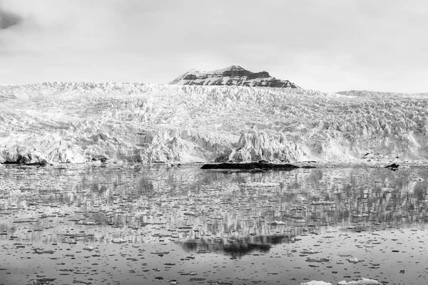 Zee baai met een gletsjer en ijsbergen in Svalbard, Spitsbergen, Norwa — Stockfoto